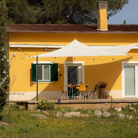 Casina Al Castello - Natura E Relax كاستل دل مونتي المظهر الخارجي الصورة