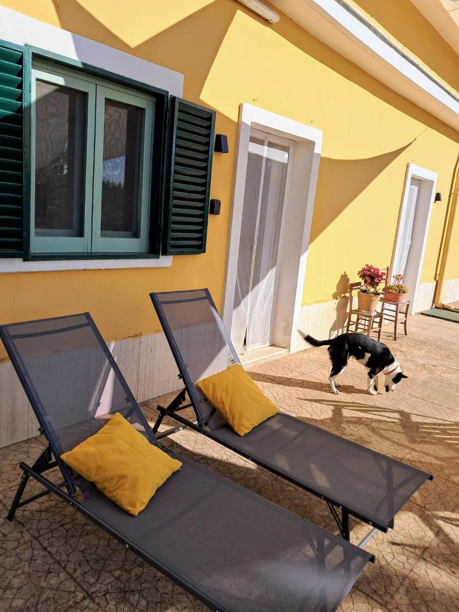 Casina Al Castello - Natura E Relax كاستل دل مونتي المظهر الخارجي الصورة